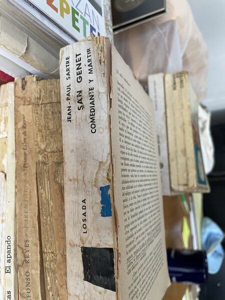 San Genet: comediante y martir