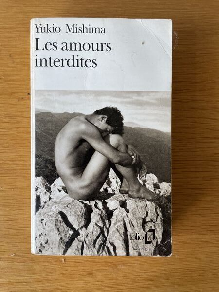 Les amours interdites: roman