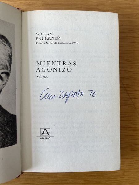 Mientras agonizo