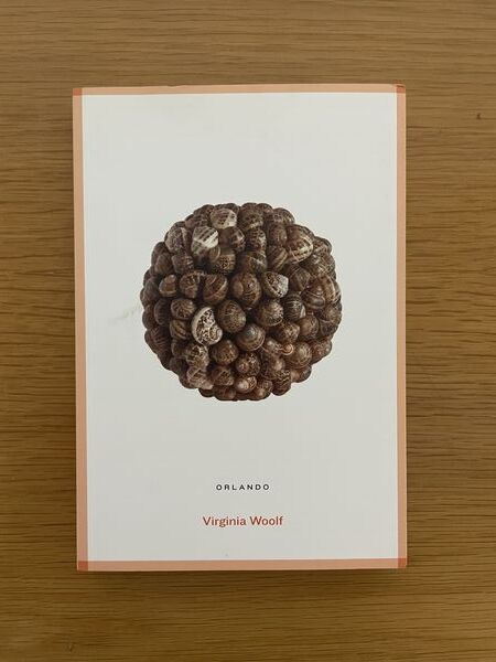 Orlando: a biography