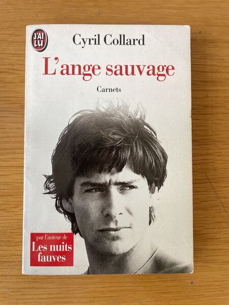 L'ange sauvage: carnets