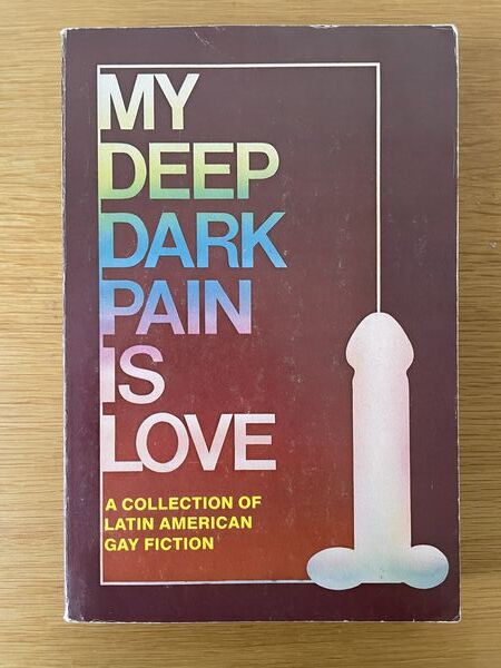 My deep dark pain is love: a collection of Latin American gay fiction