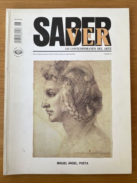 Revista, saber ver 31