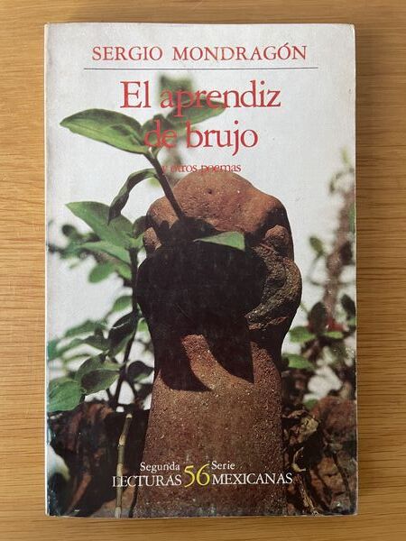 El aprendiz de brujo y otros poemas