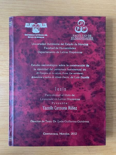 Estudio narratologico sobre la construcción de la identidad del personaje homosexual