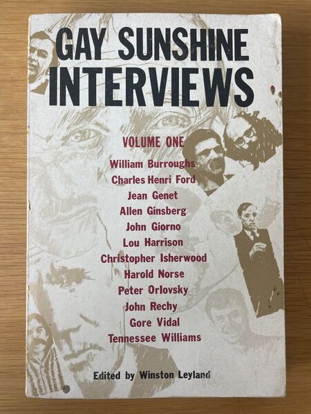 Gay sunshine interviews