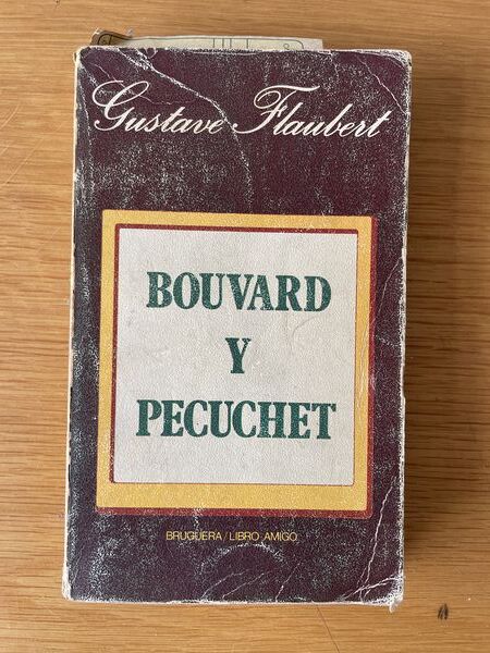 Bouvard y Pécuchet