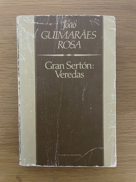 Gran sertón: veredas
