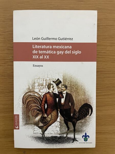 Literatura mexicana de temática gay del siglo XIX al XX: ensayos