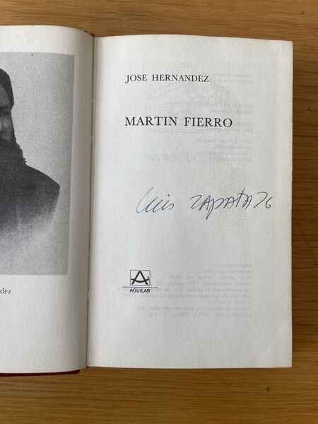 Martín Fierro