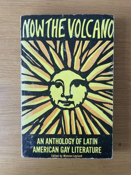Now the volcano: an anthology of Latin American gay literature