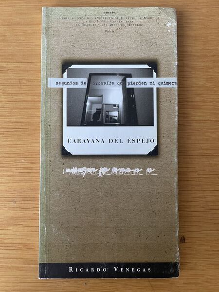Caravana del espejo