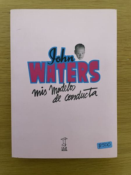 Mis modelos de conducta